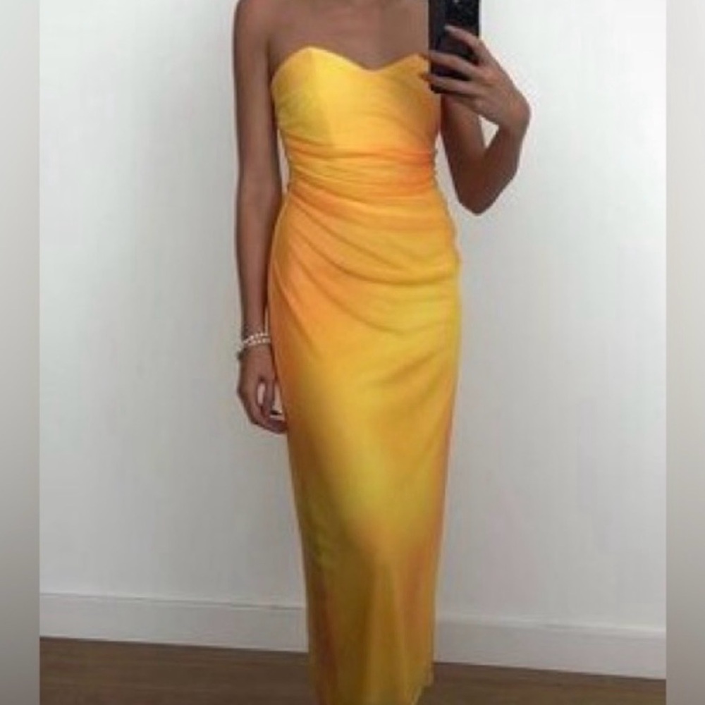 NWT - Elegant Zara Tulle Dress - Blogger’s Favorite!